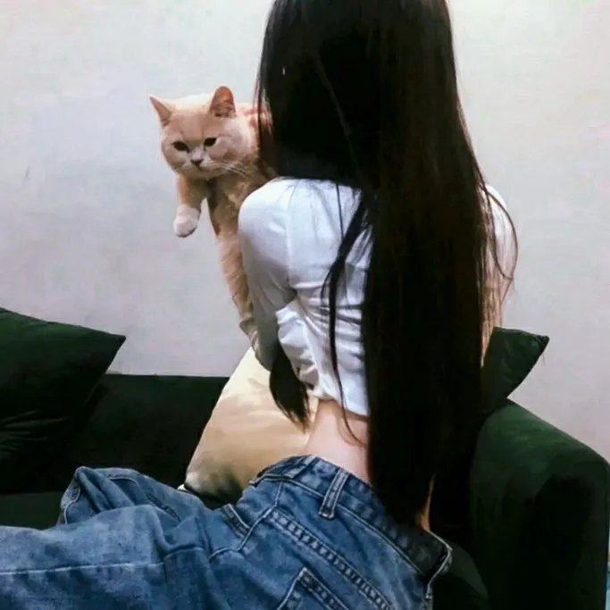 猎赝